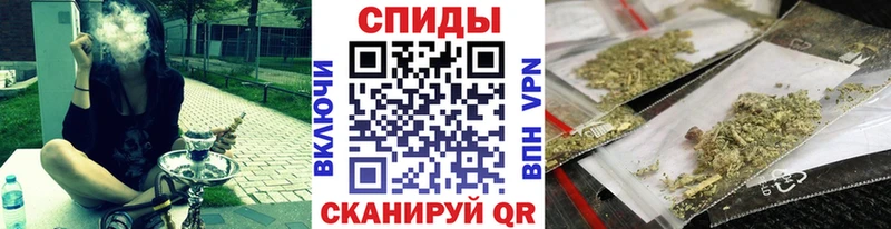Купить закладки  Западная Двина  Бутират буратино 