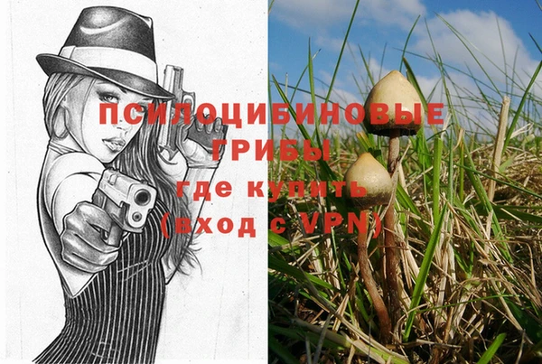 винт Михайловка