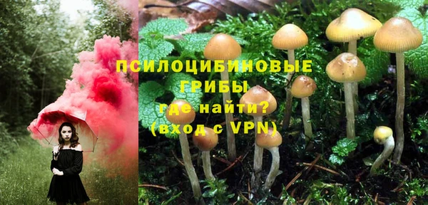 мдма Михайлов