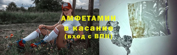 стаф Михайловск