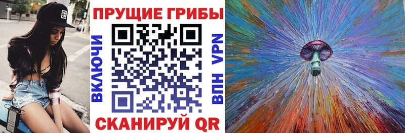 Псилоцибиновые грибы мицелий Купить Западная Двина